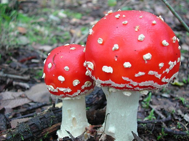 №5, Артем Сфотоальбома, Кишинев №5, Артем Сфотоальбома, Кишинев