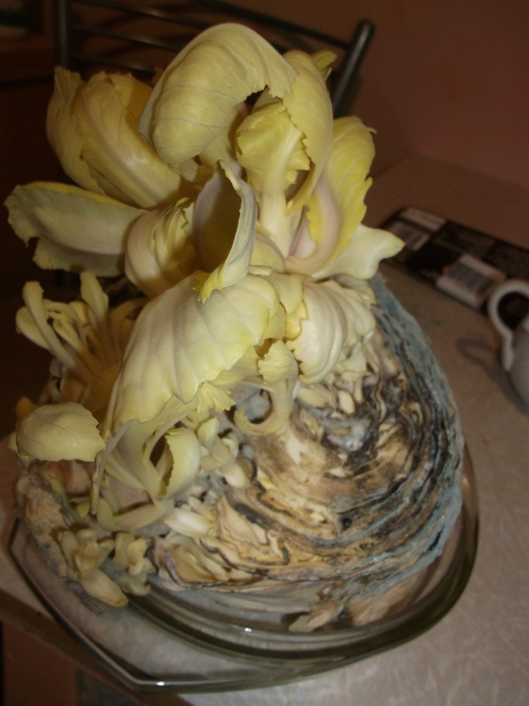 Алёна Урсулика | Санкт-Петербург