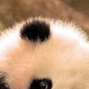 №17, Алина Деревянко, Харьков №17, Алина Деревянко, Харьков