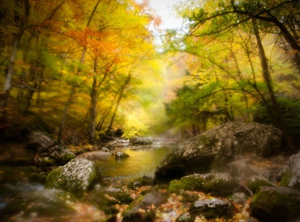 №50, Виктория Болькина, 37 лет, Киев №50, Виктория Болькина, 37 лет, Киев