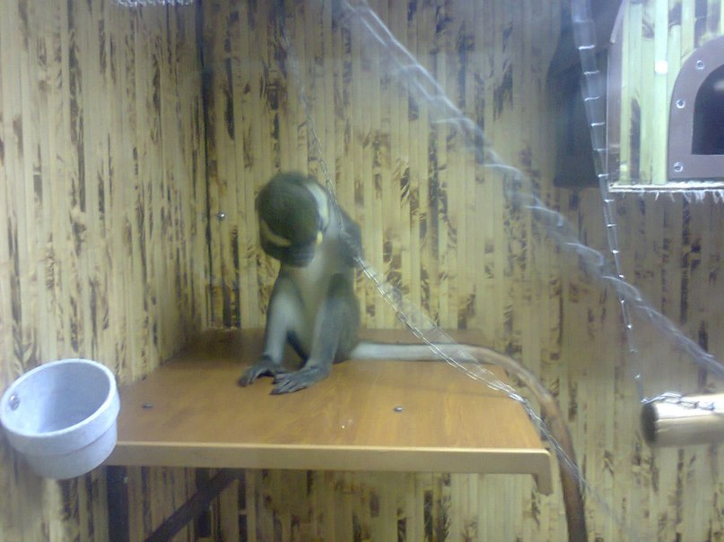 Анна Свищ ✿ܓBaRsY4kA✿ܓ | Харьков