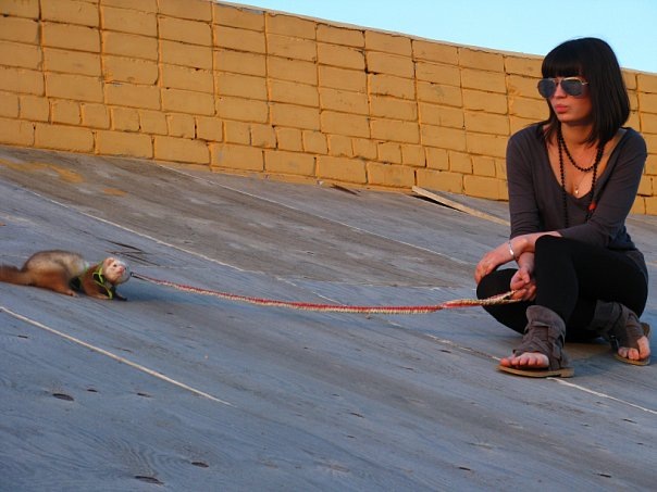 №69, Elena Kostyukova, Москва №69, Elena Kostyukova, Москва