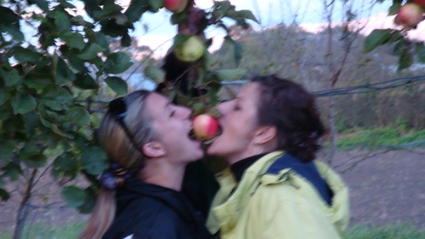 №21, Наталья Ермина, Псков №21, Наталья Ермина, Псков