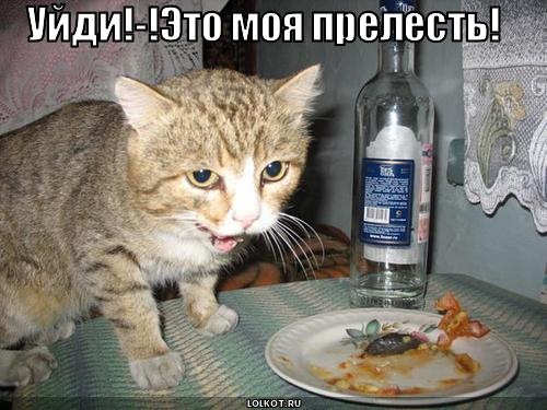 №61, Ольга Мачульская, 32 года, Чистоозерное №61, Ольга Мачульская, 32 года, Чистоозерное