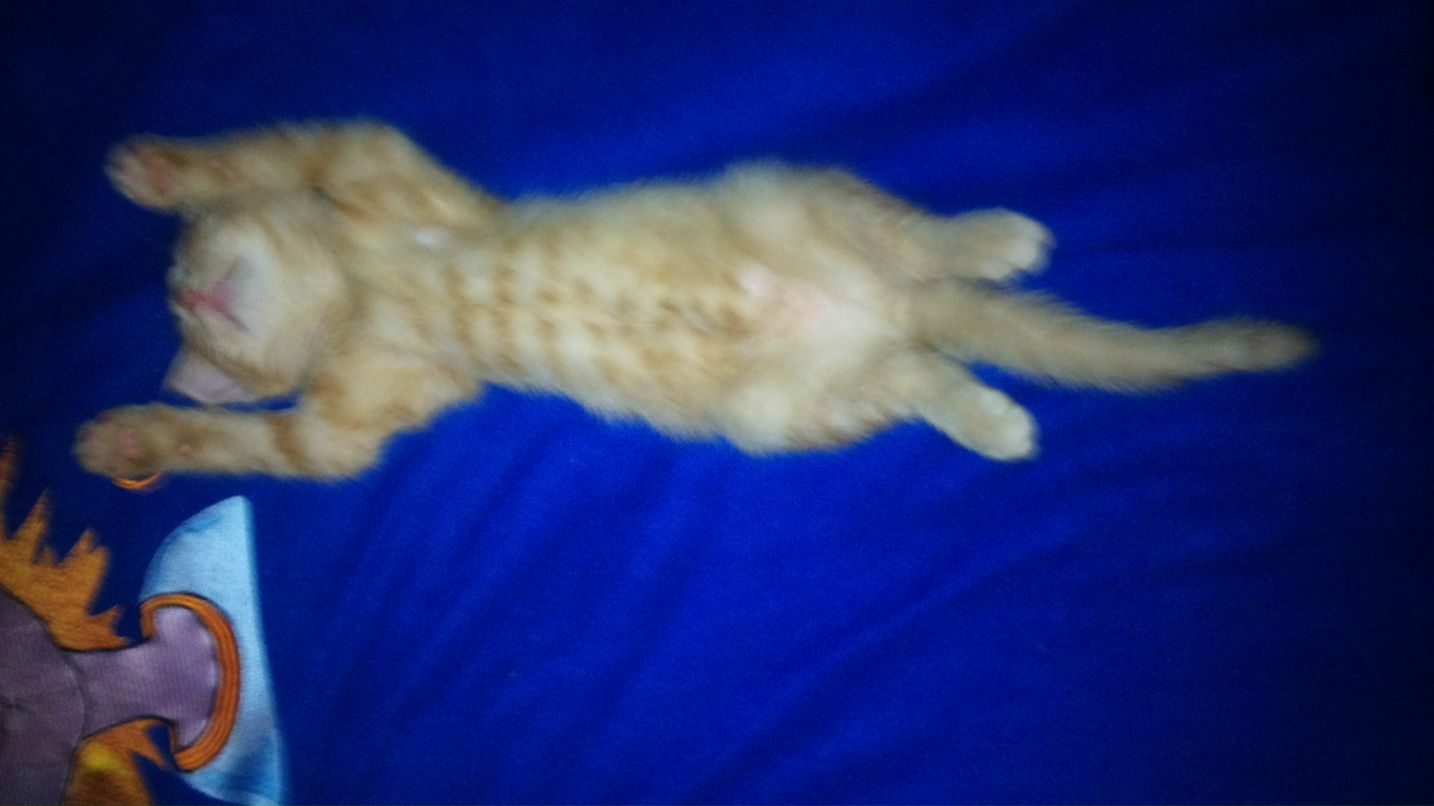 Антон Мармузов | Санкт-Петербург