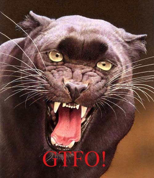 Наталия Рогова | 