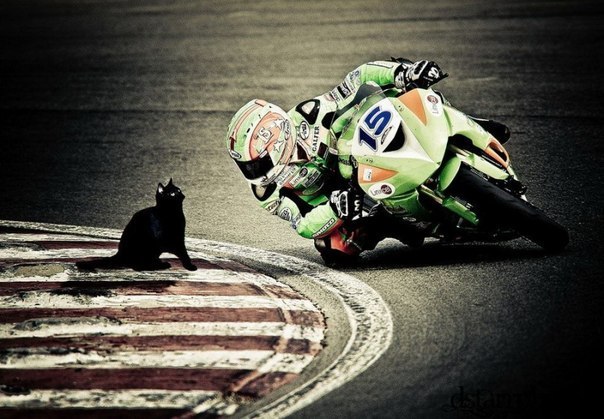 Санёк Макаров *KуDе$_nik* | Саратов