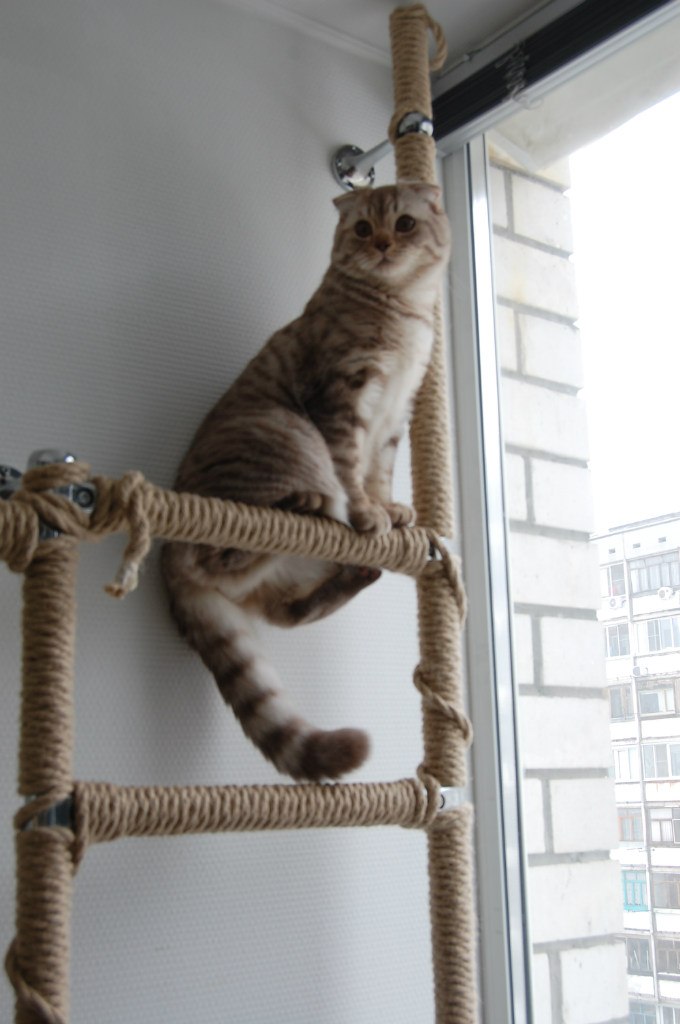 Крис Черепенникова | Волгоград