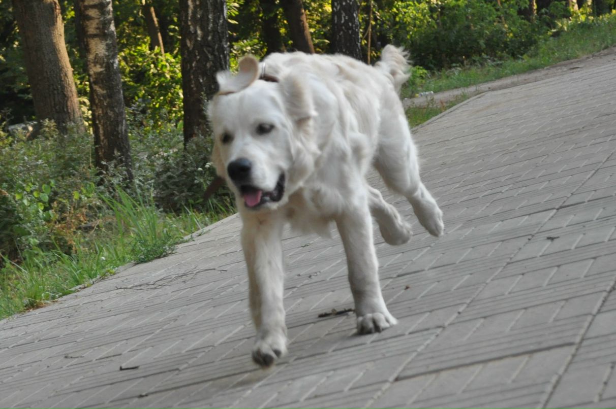 Ирина Паршикова Сергеевна | Подольск