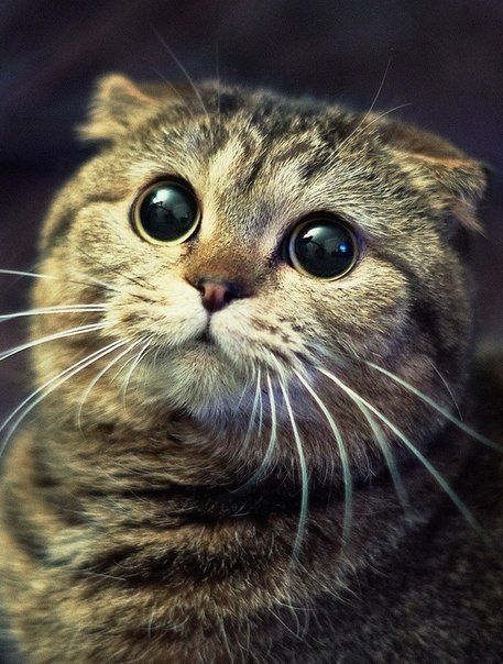 Евгения Захарова | Челябинск