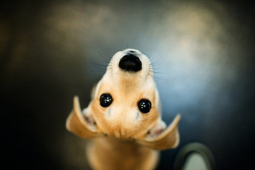 Владислав Жарков | Клайпеда