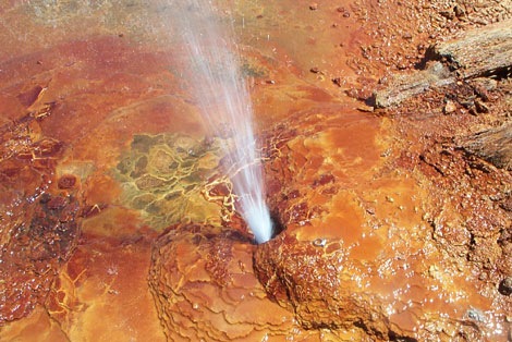 №66, Лилиана Дятлова, 26 лет, Киев №66, Лилиана Дятлова, 26 лет, Киев