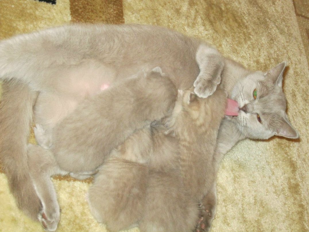 Аида Балясникова | Казань