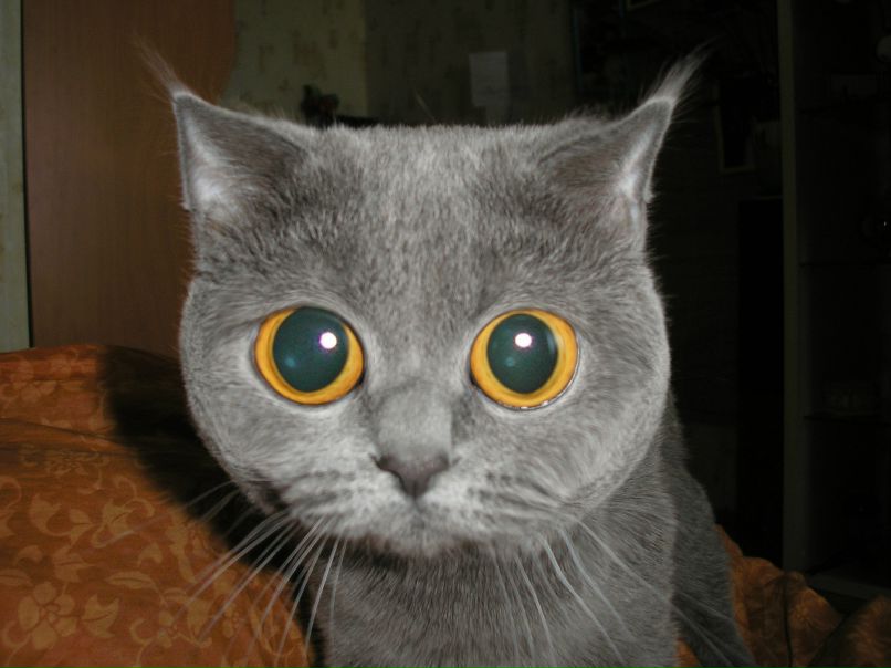 Юлия Минченкова | Смоленск