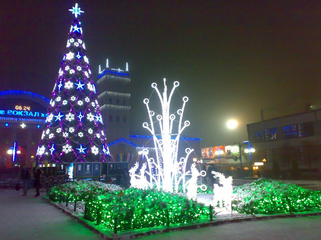 Елена Игнатова | Донецк