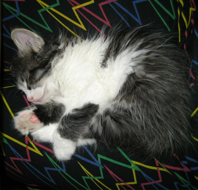 Настена Абрамова | Санкт-Петербург