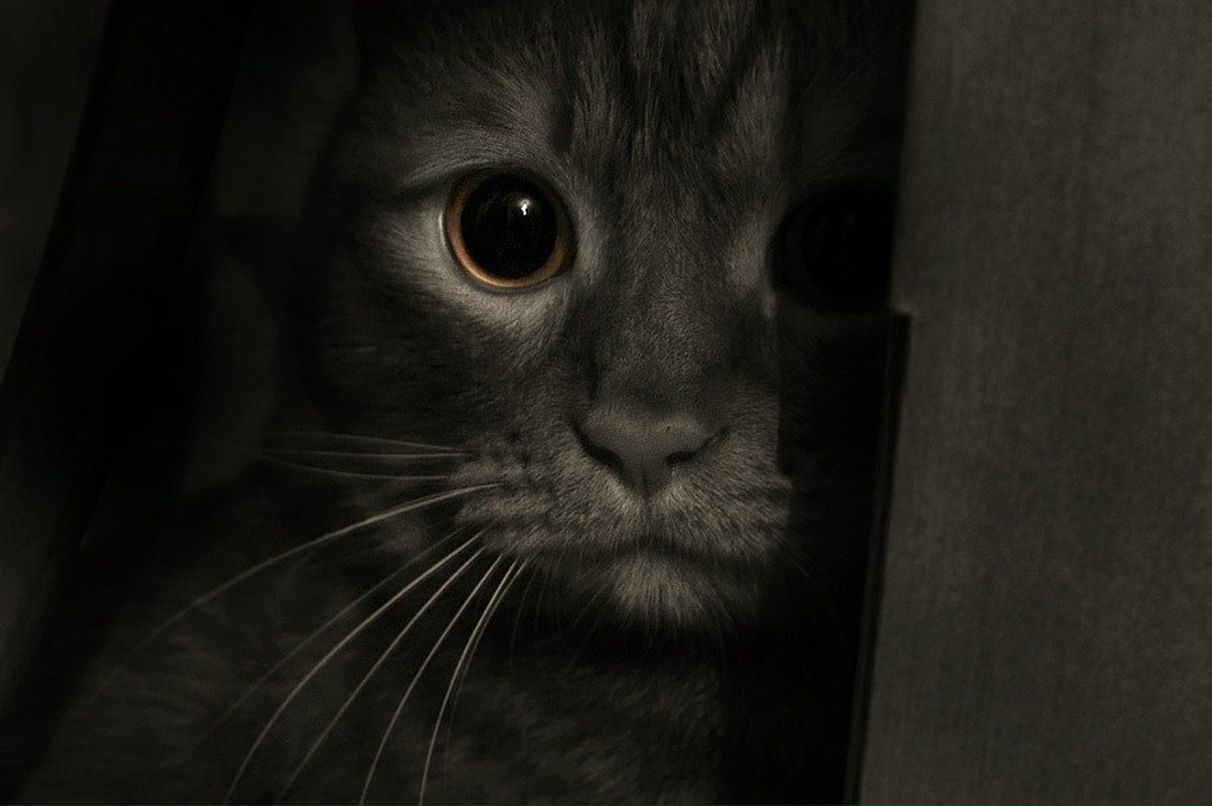 Мария Кулешова | Санкт-Петербург