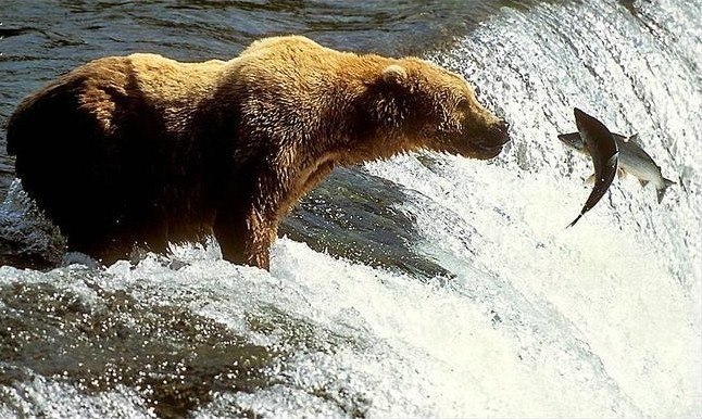 Иван Васильев | 