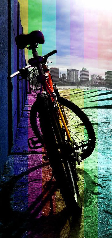 Роман Гончарик | 