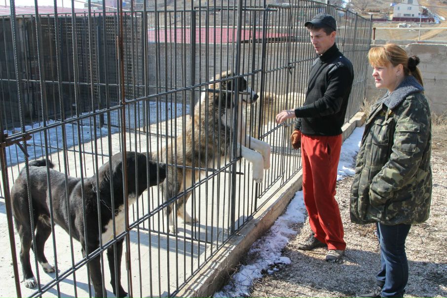 №41, Руслан Гордеев, Львов №41, Руслан Гордеев, Львов