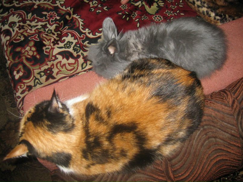 Юлия Пуякина | Москва