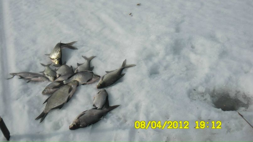 Михаил Силин | Пермь