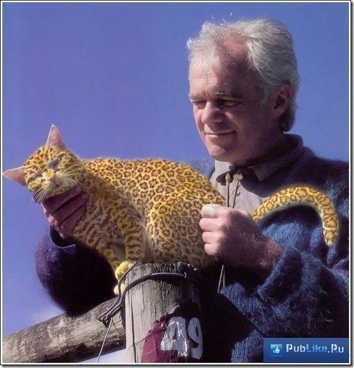 Ольга Денисова | 