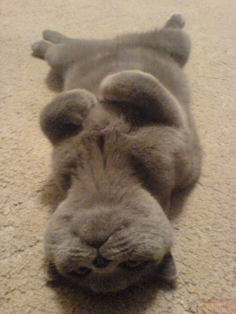 Катерина Оварич | Львов