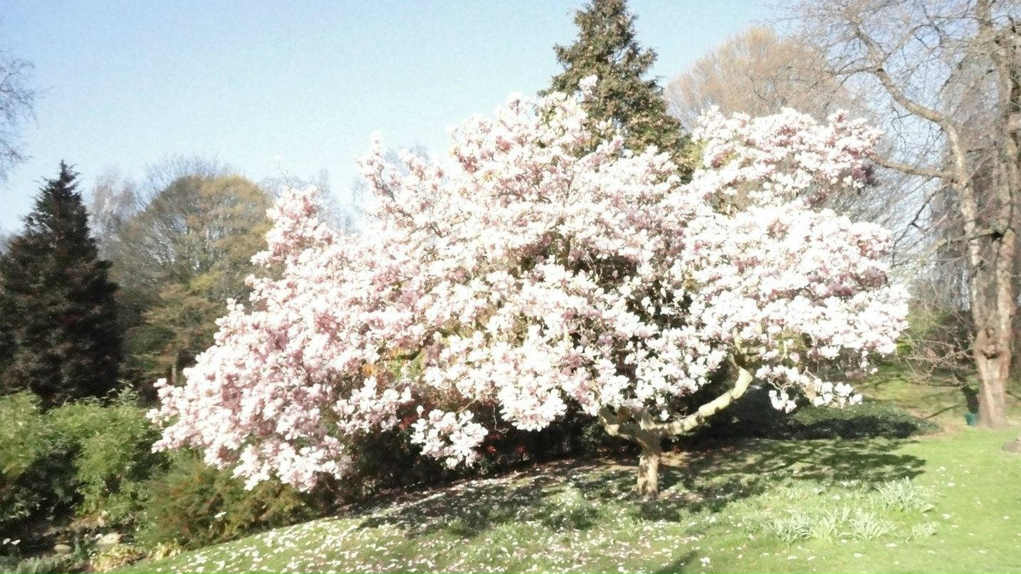 Анна Сватовская | Санкт-Петербург