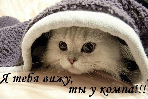№96, Андрей Ляпчев, 37 лет №96, Андрей Ляпчев, 37 лет