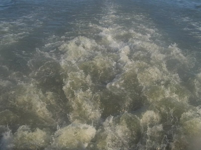 Дмитрий Дмитриев | Ижевск