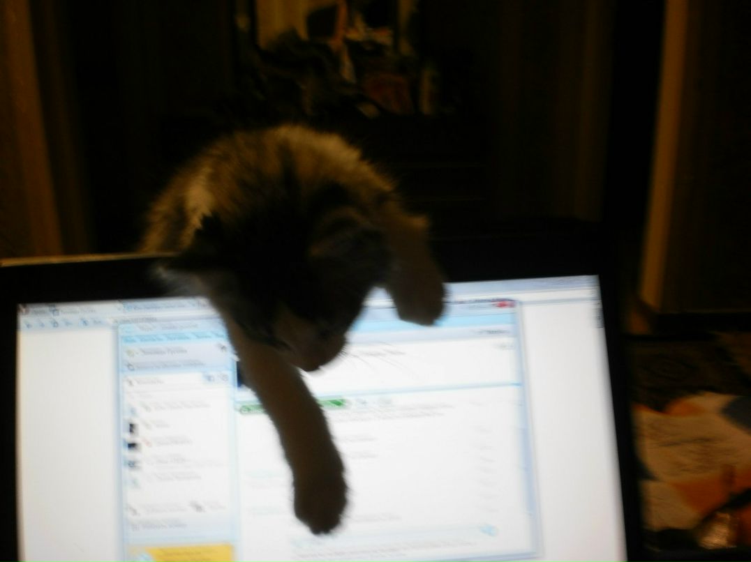 Зинаида Гусева | Макеевка