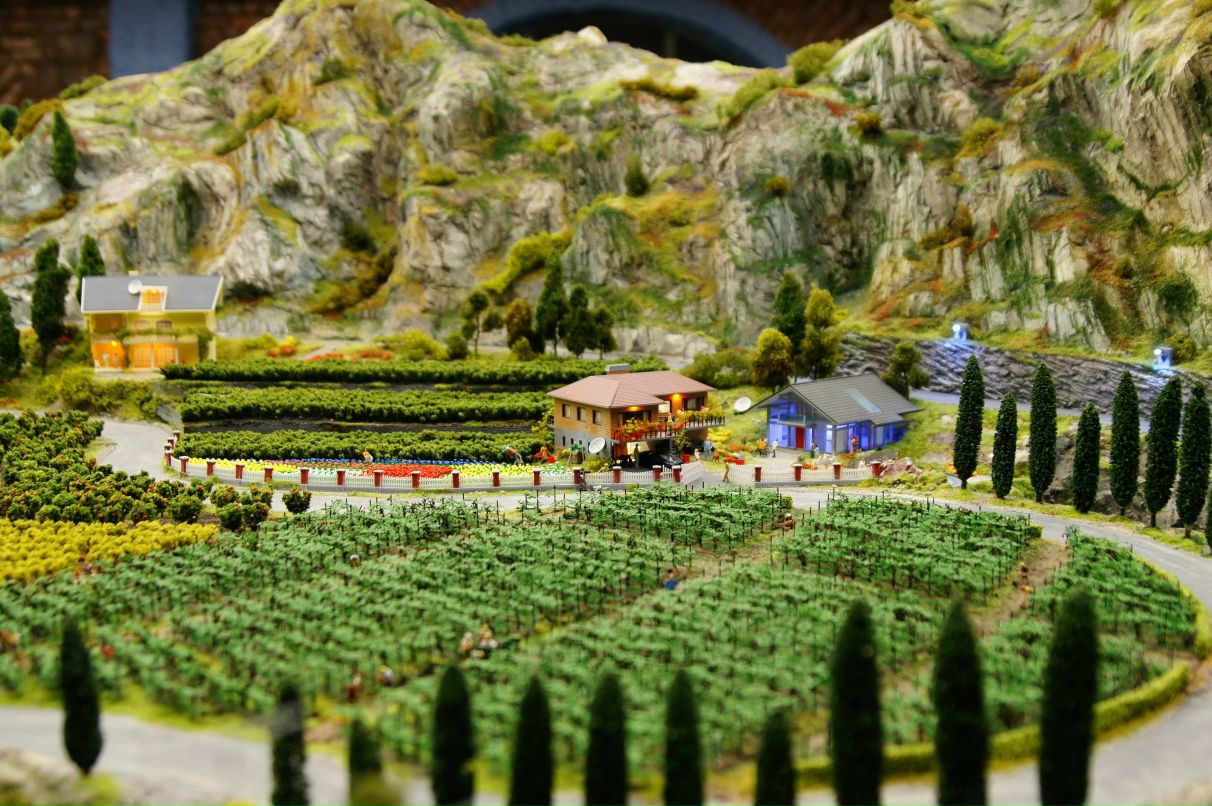 Евгений Стрункин | Санкт-Петербург