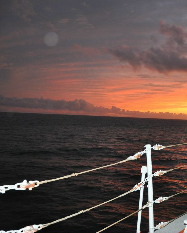 Светик Михайлова-Поликарпова | Москва