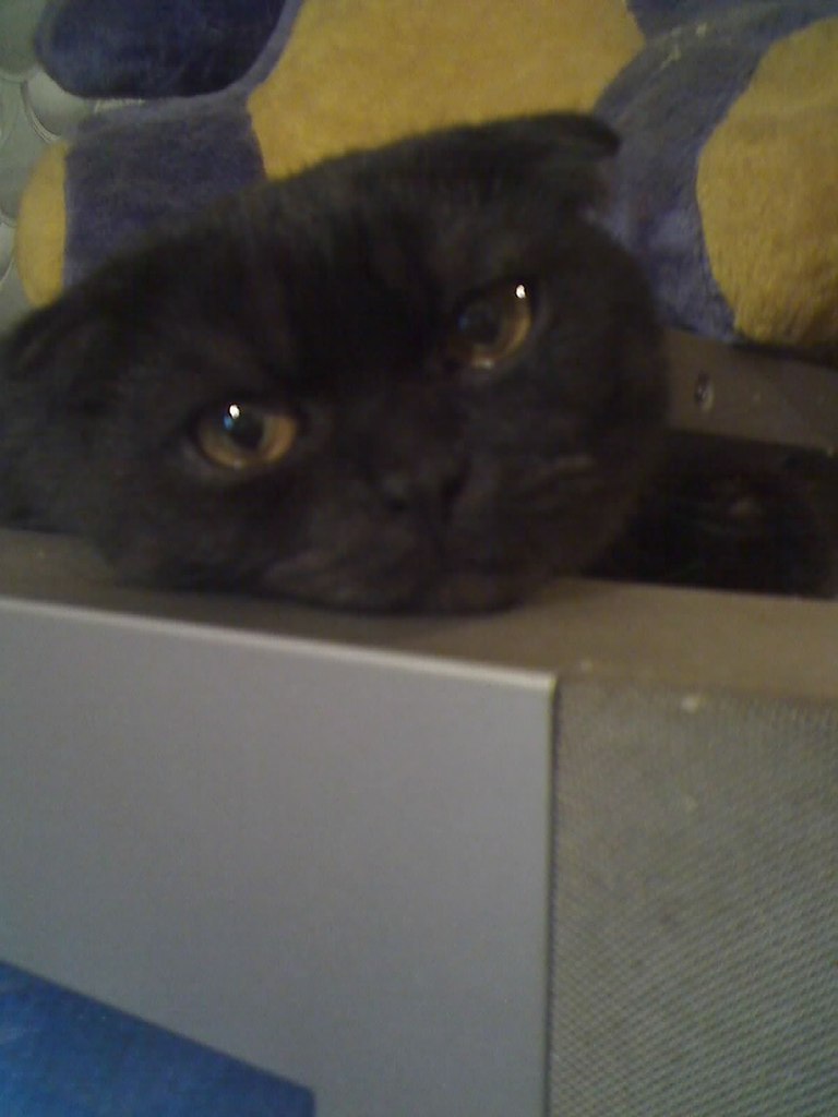 Елена Зонова | Кострома