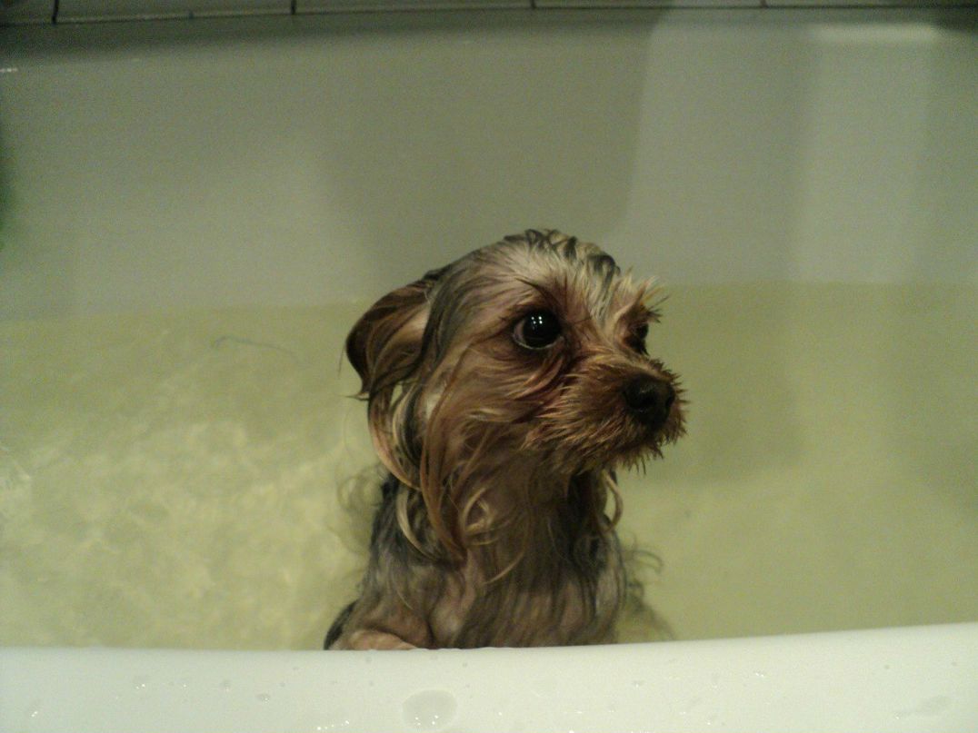 Аркадий Макрушин | Санкт-Петербург