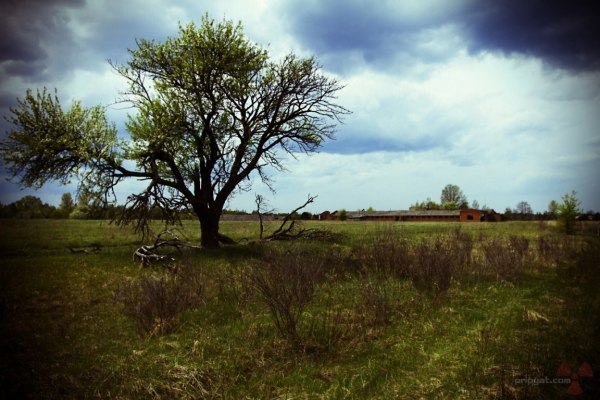 Осип Мандельштам | Калуга