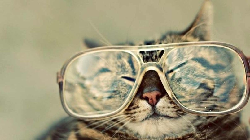 Мария Соловьева | Ростов-на-Дону