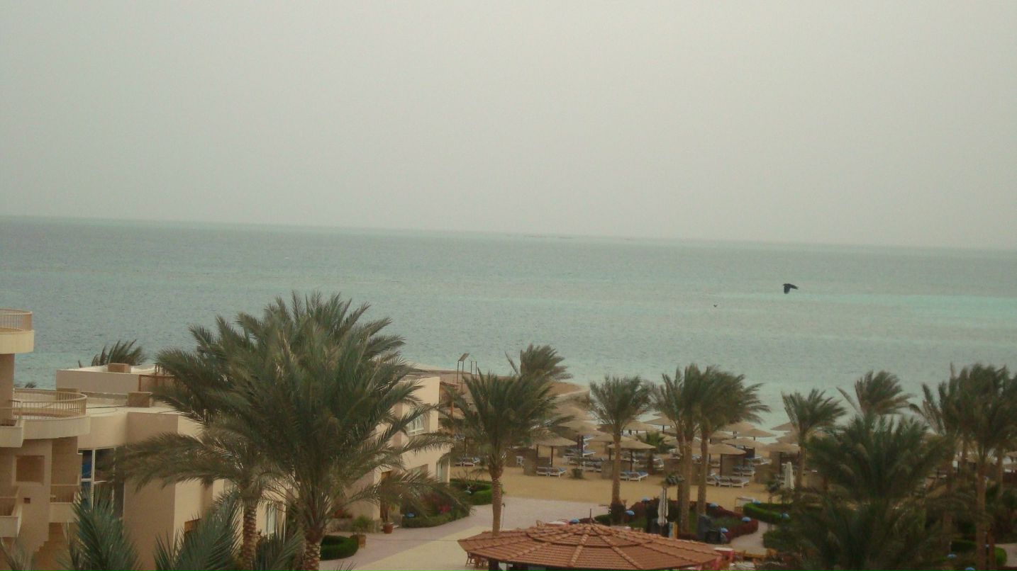 Εлена Εвдокимова | Губаха