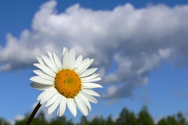 Alina Filippova | Москва