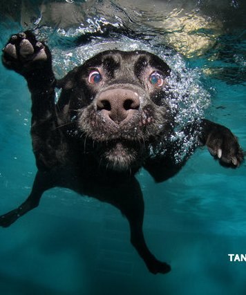 Дмитро Латік | 