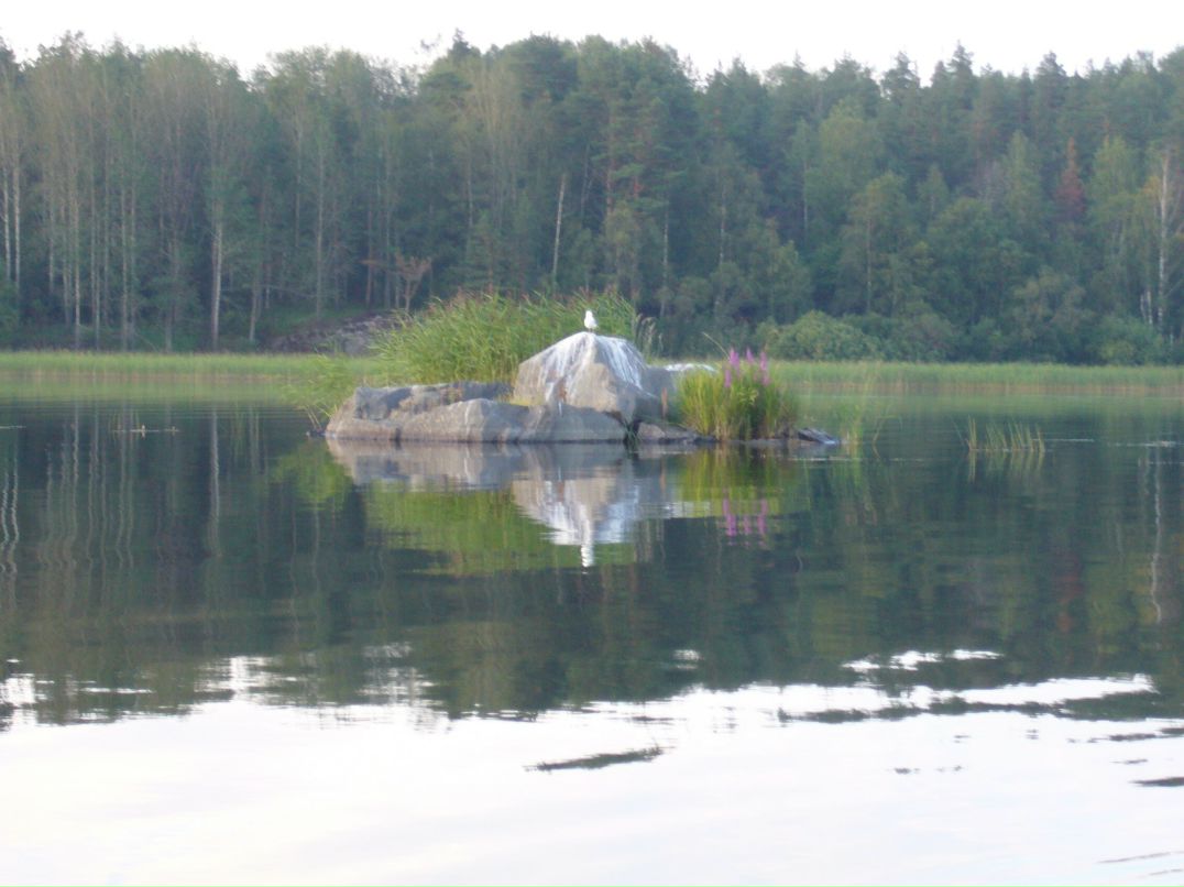 Екатерина Убыткова | Санкт-Петербург