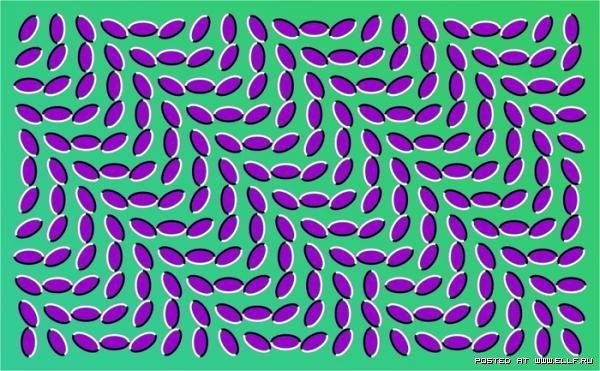 Руслан Курбанов | Казань