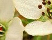 Юля Небесна | Тернополь