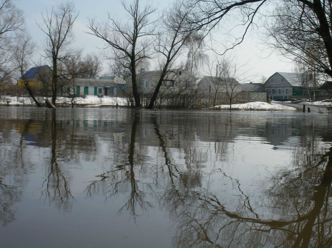 Даниил Струганов | 