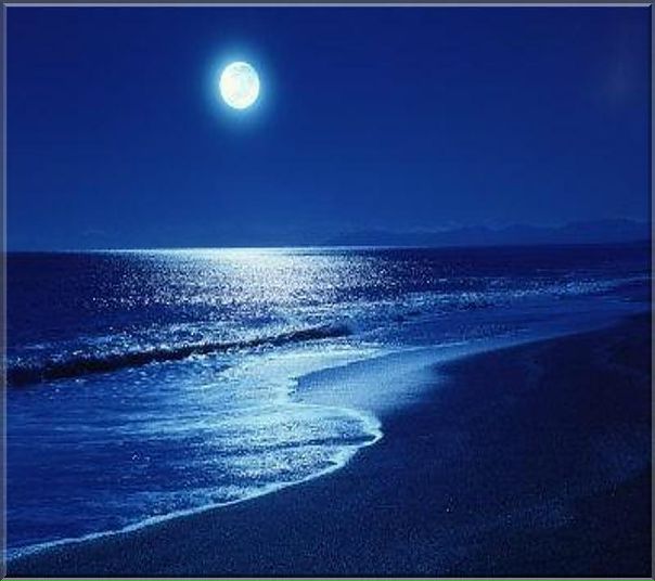 №55, Маша Мишелия, Харьков №55, Маша Мишелия, Харьков