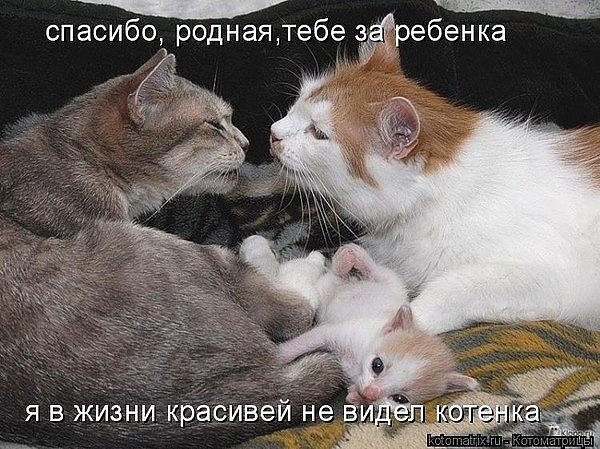№32, Оксана Максакова, Краснодар №32, Оксана Максакова, Краснодар