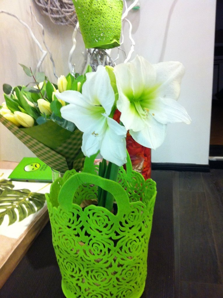 Катя Копосова | Одесса