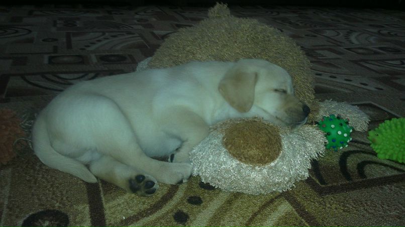 Юлия Язовских | Тихвин