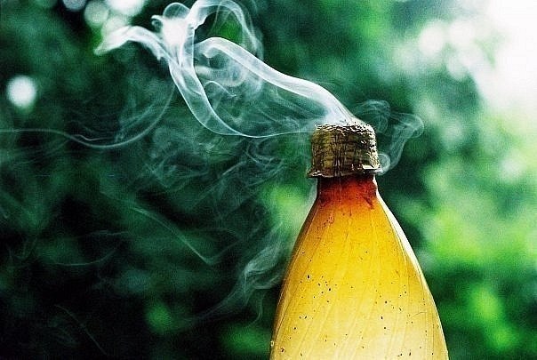 Евгений Трофимов | Москва